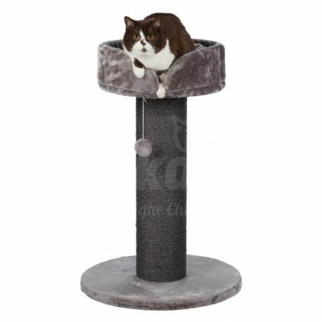 Arbre A Chat Pino Anthracite Sherkane