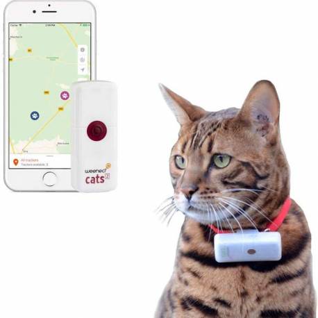 Collier GPS pour chat WEENECT Cats 2 pas perdre son chat / anti