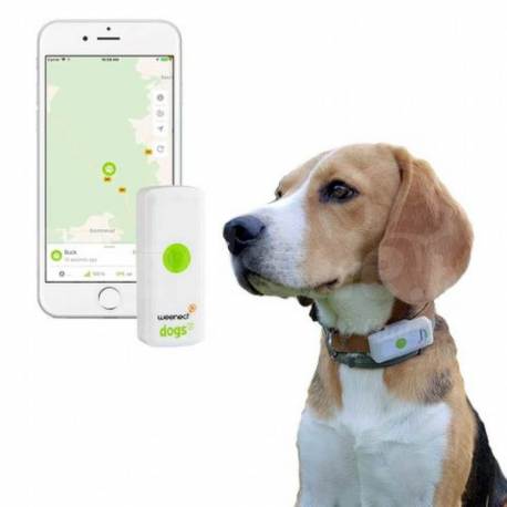 GPS pour chien Weenect XS - Happy Dog Wavre