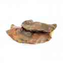 Peau de cheval plaques 250gr