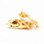 Peau de lapin 250gr