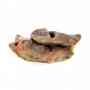 Nez de boeuf 1kg