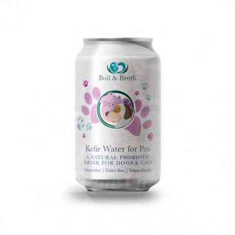  Kéfir d'eau 