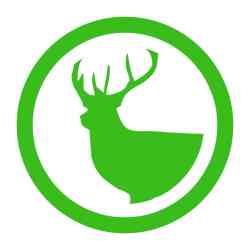 Cerf & Chevreuil sauvage