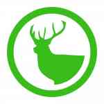 Cerf & Chevreuil sauvage