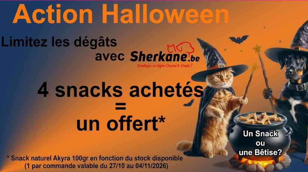 Halloween 2026